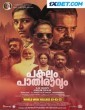 Pakalum Pathiravum (2023) Malayalam Movie